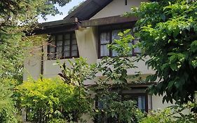 Aams Courtyard