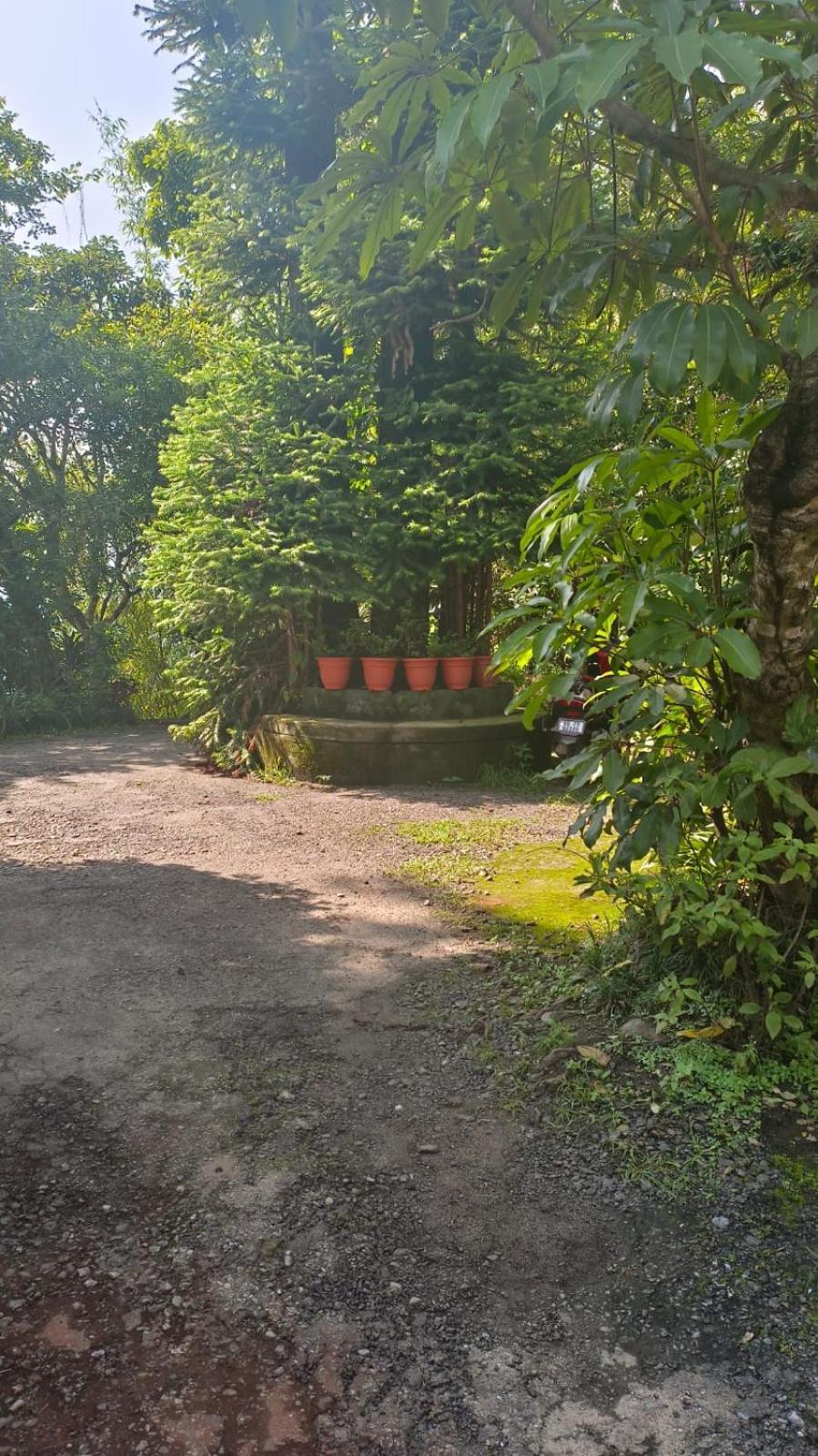 Aam'S Courtyard Hotel Kalimpong Exterior photo